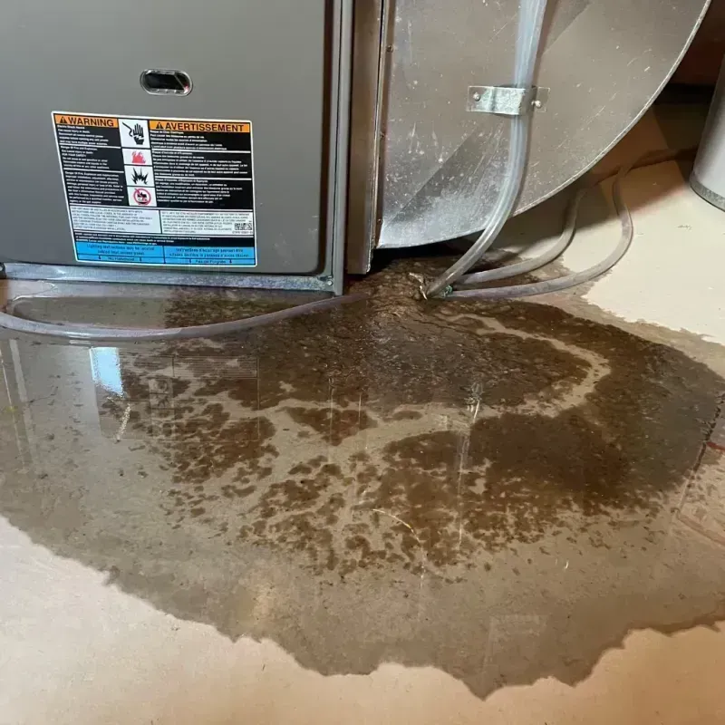 Appliance Leak Cleanup in Eaton, CO